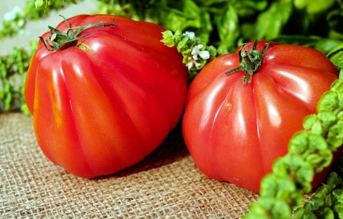Canning Tomatoes